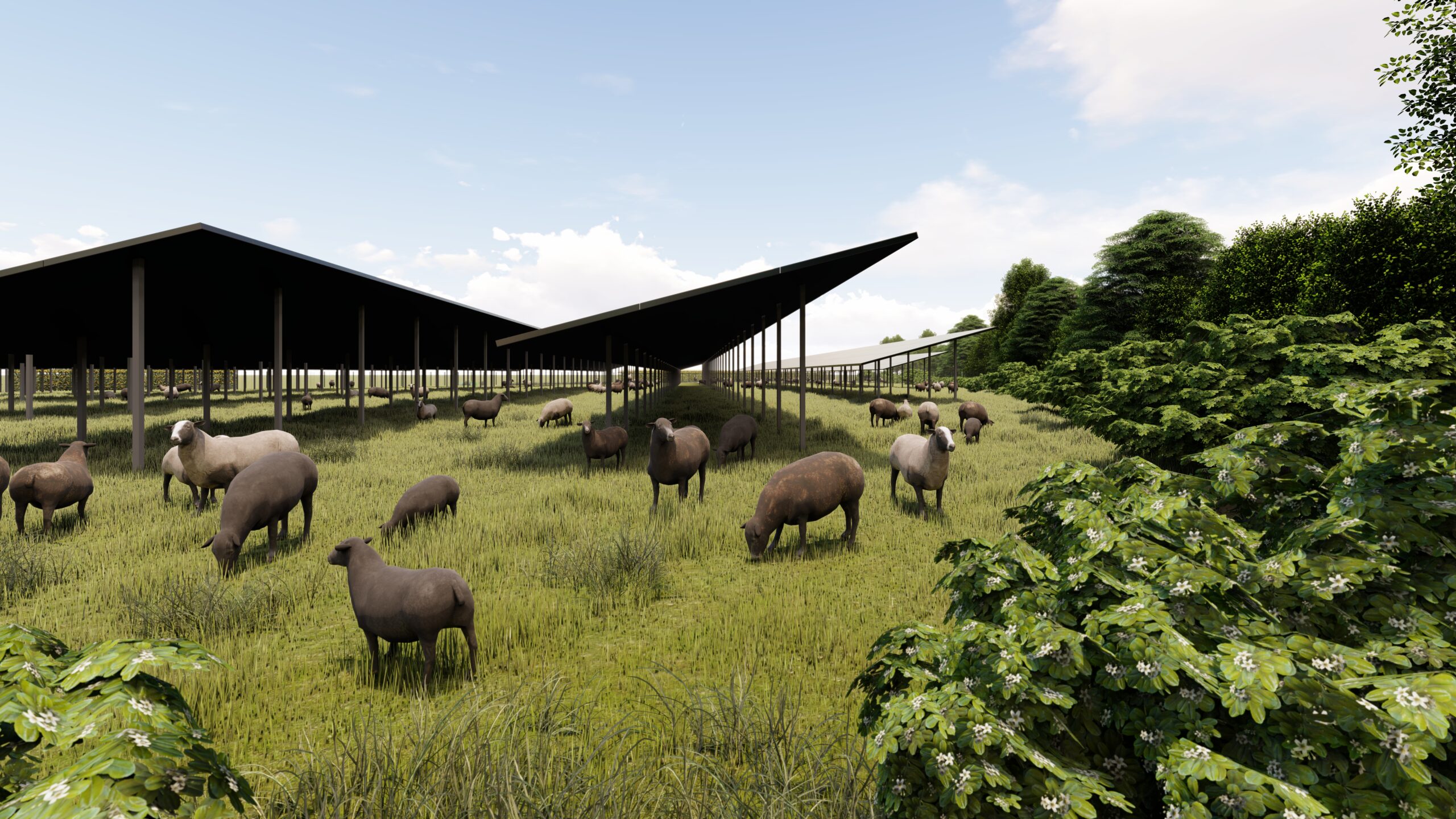 Agri-PV-Freiflächenanlage