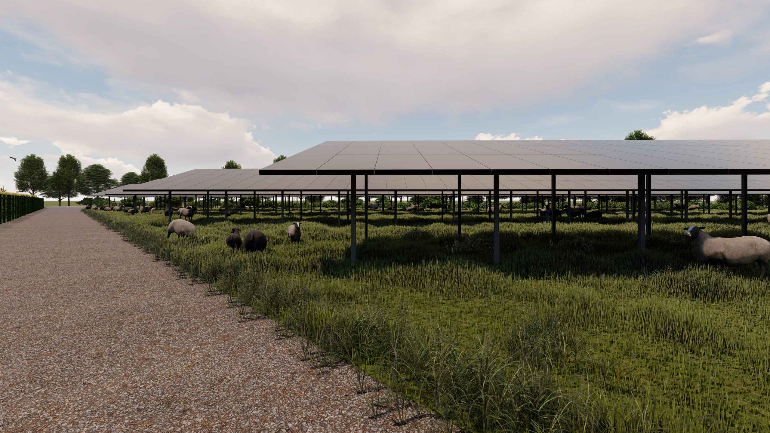 AGRI-PV-FREIFLÄCHENANLAGE