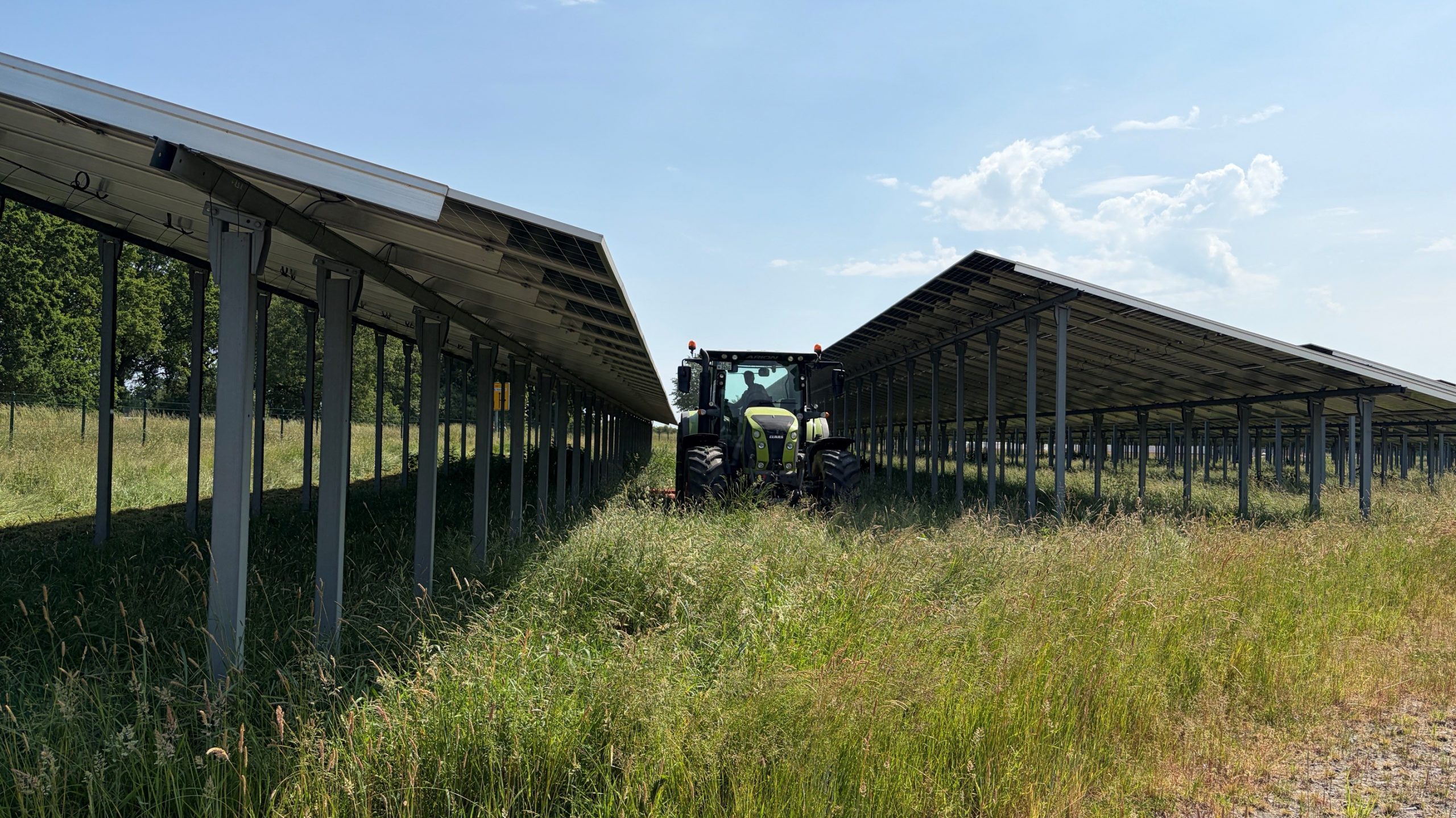 Agri-PV-Freiflächenanlage
